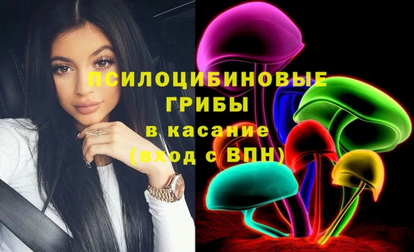 spice Михайловск