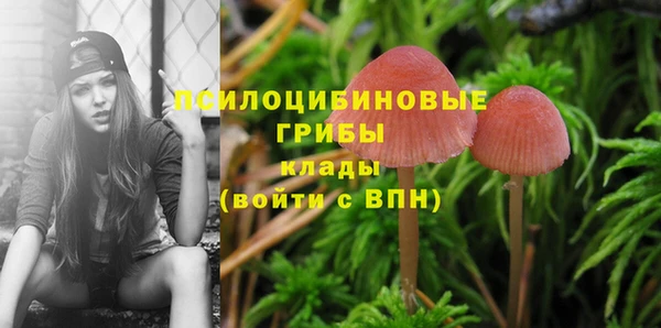 амф Михайлов
